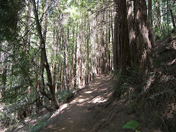 Our Mountain Path