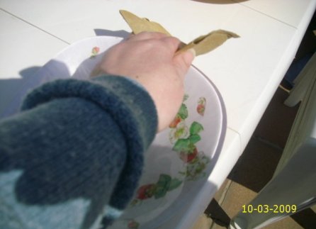 [20.jpg]