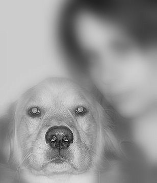 Eat My Puppy!
