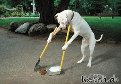 Dog CleAneR