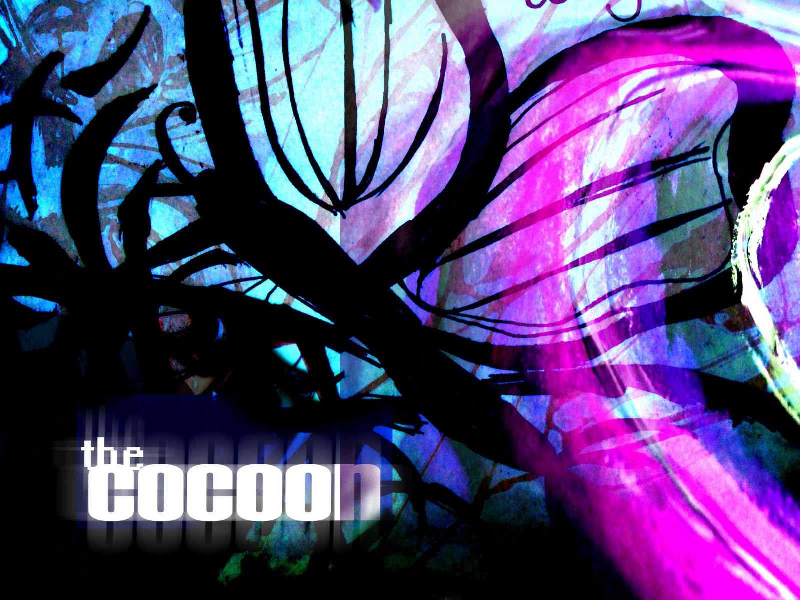 cocoon poster