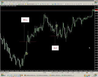 T101 ea forex