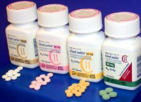 Comparison of oxycodone and hydrocodone.