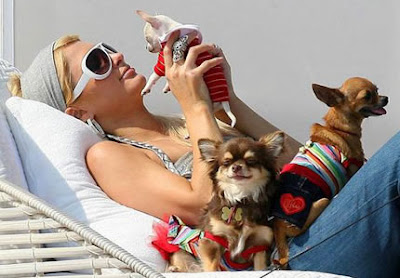 Paris Hilton e i suoi cagnolini