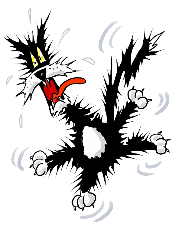 Frazzled Cartoon Cat Kadada Org