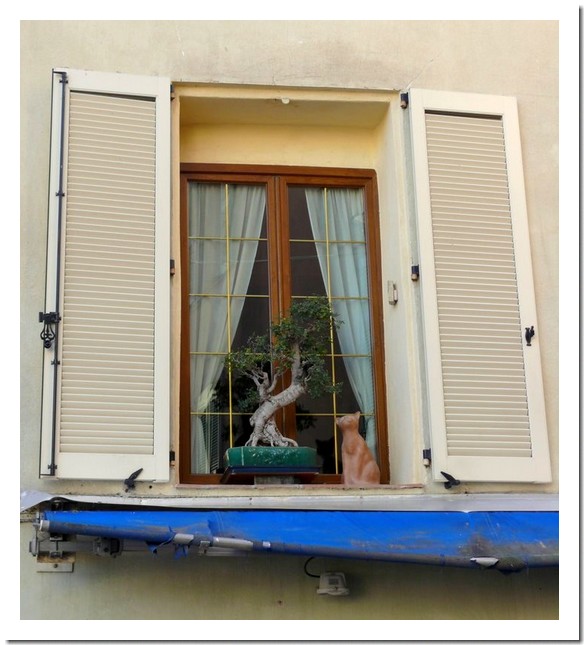 [Fréjus5.jpg]