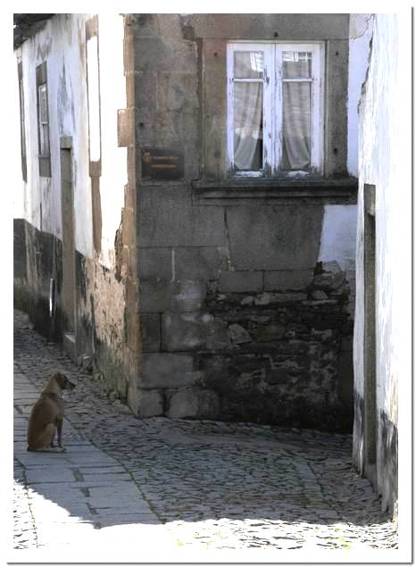 [miranda+douro+2008+030.JPG]