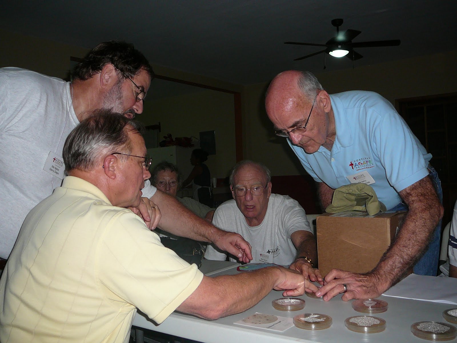 [Allen+petrie+dishes.jpg]