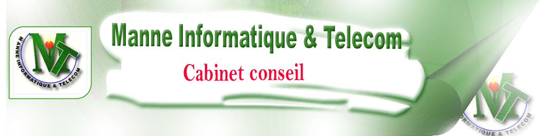 Manne Informatique et Telecom