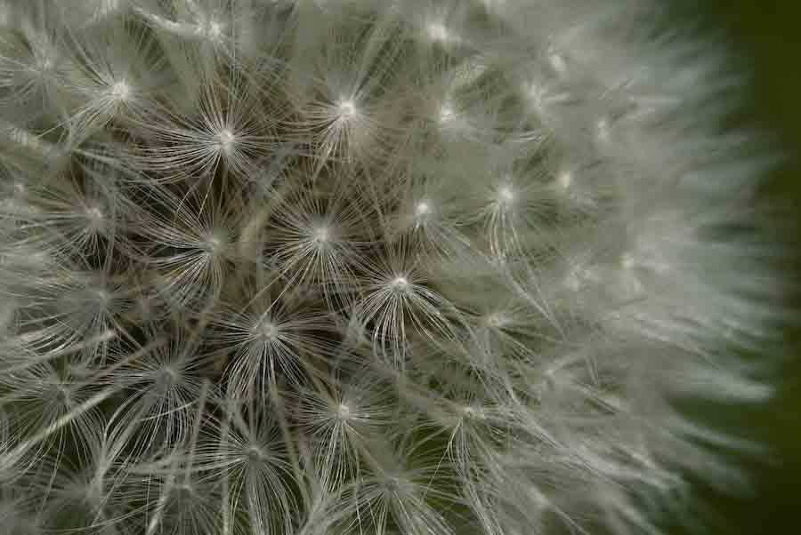 [cath+al+&+wislet-5.jpg]