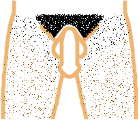 [bikini_m_3x_athletic.gif]