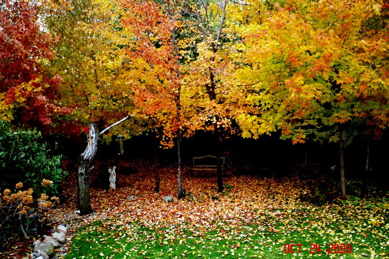 [DSC02481.JPG]