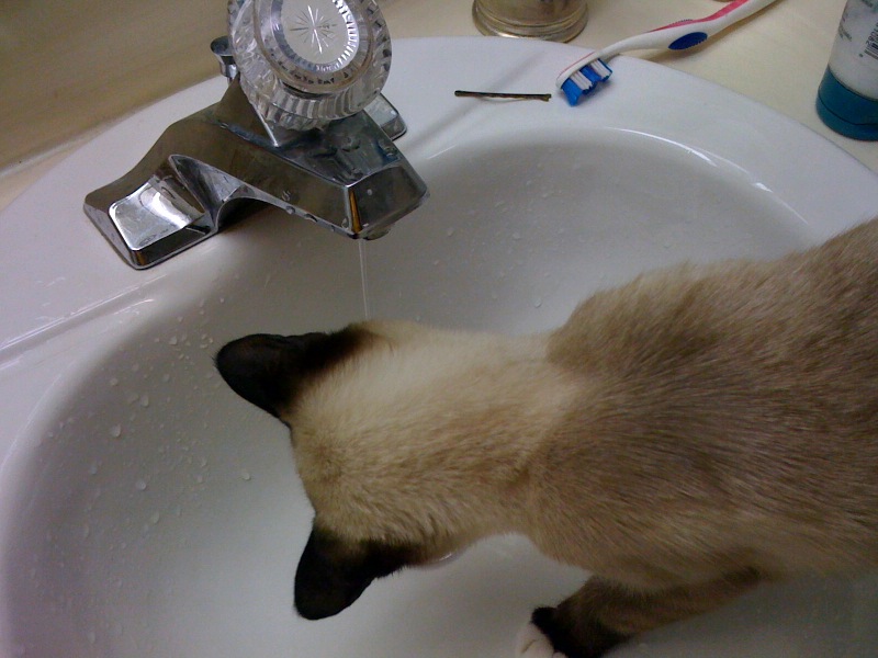 [sink.aspx]