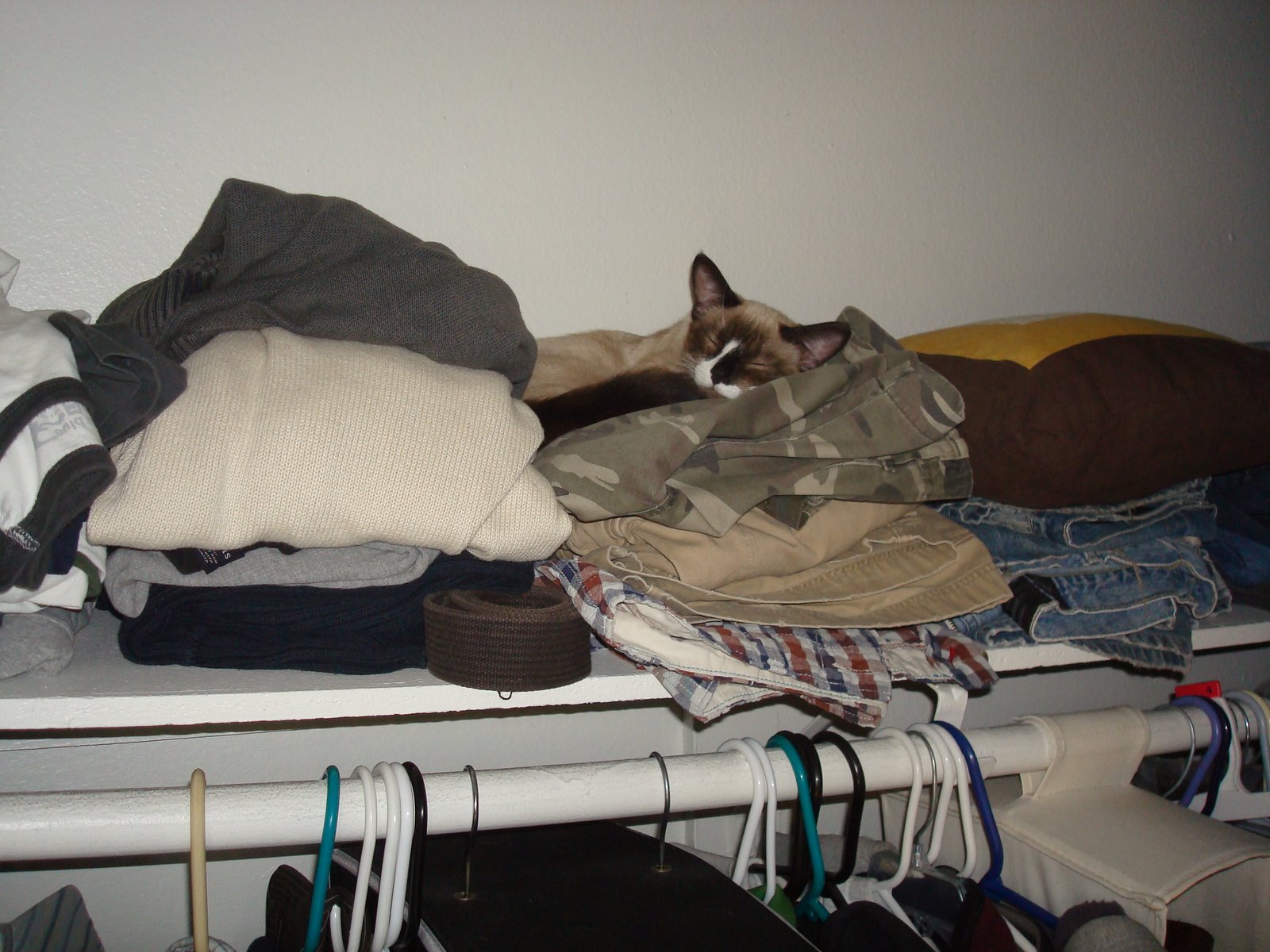 [DSC01610.JPG]