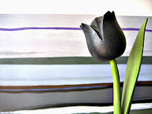 Tulipa Negra