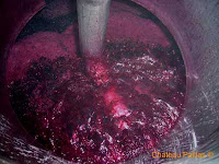 pumping over at chateau paillas