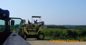 harvest 2009 chateau paillas cahors malbec