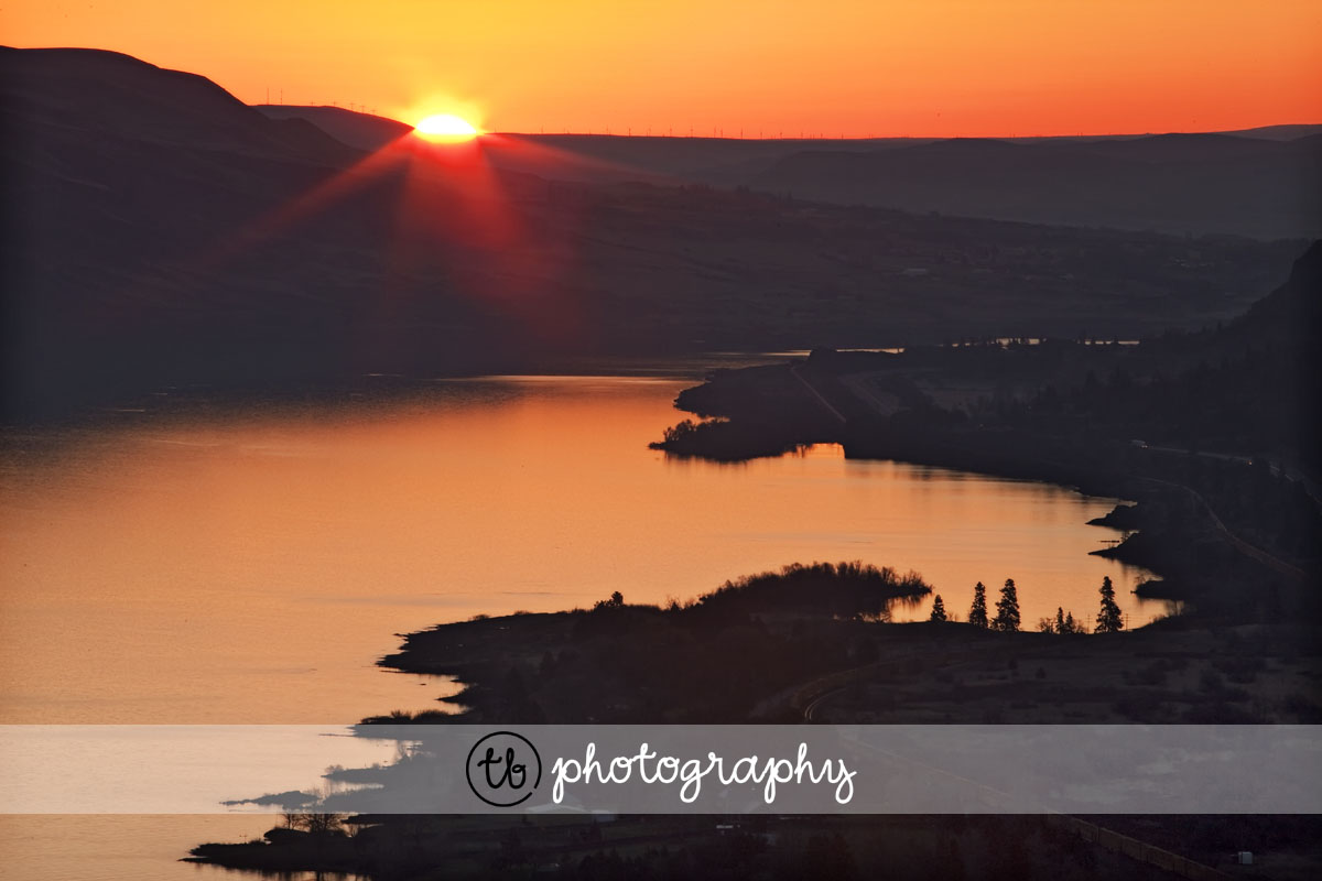 [IMG_9308_web.jpg]