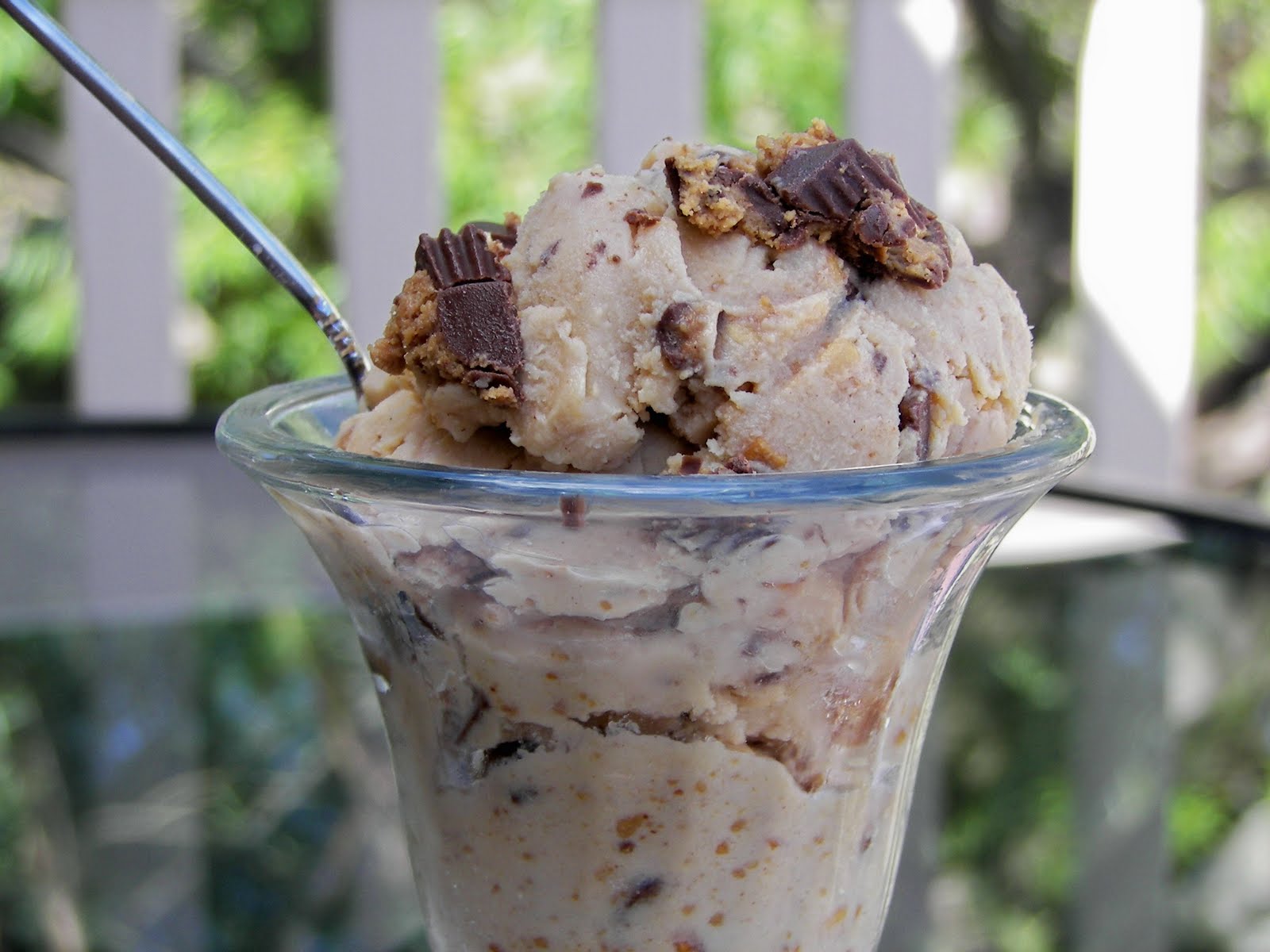 Red Couch Recipes Peanut Butter Cup Ice Cream and CSN Cuisinart 2