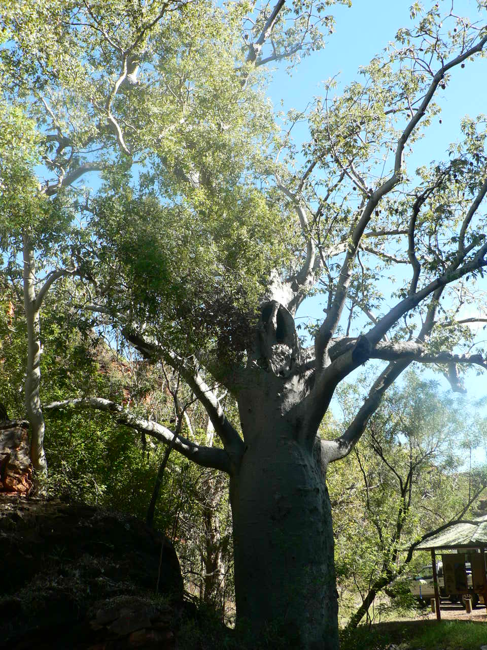 Mirima National Park