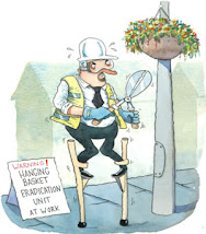 Myth: Health and safety laws banned hanging baskets