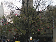 pink pigeons of Melbourne