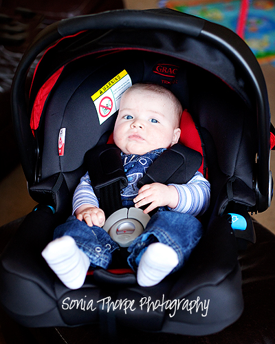 graco symbio car seat