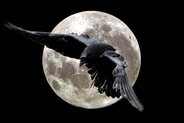 [RavenMoon.jpg]