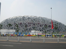 The Bird's Nest