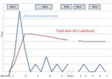 Serologic Procfile of Hepatitis C Virus