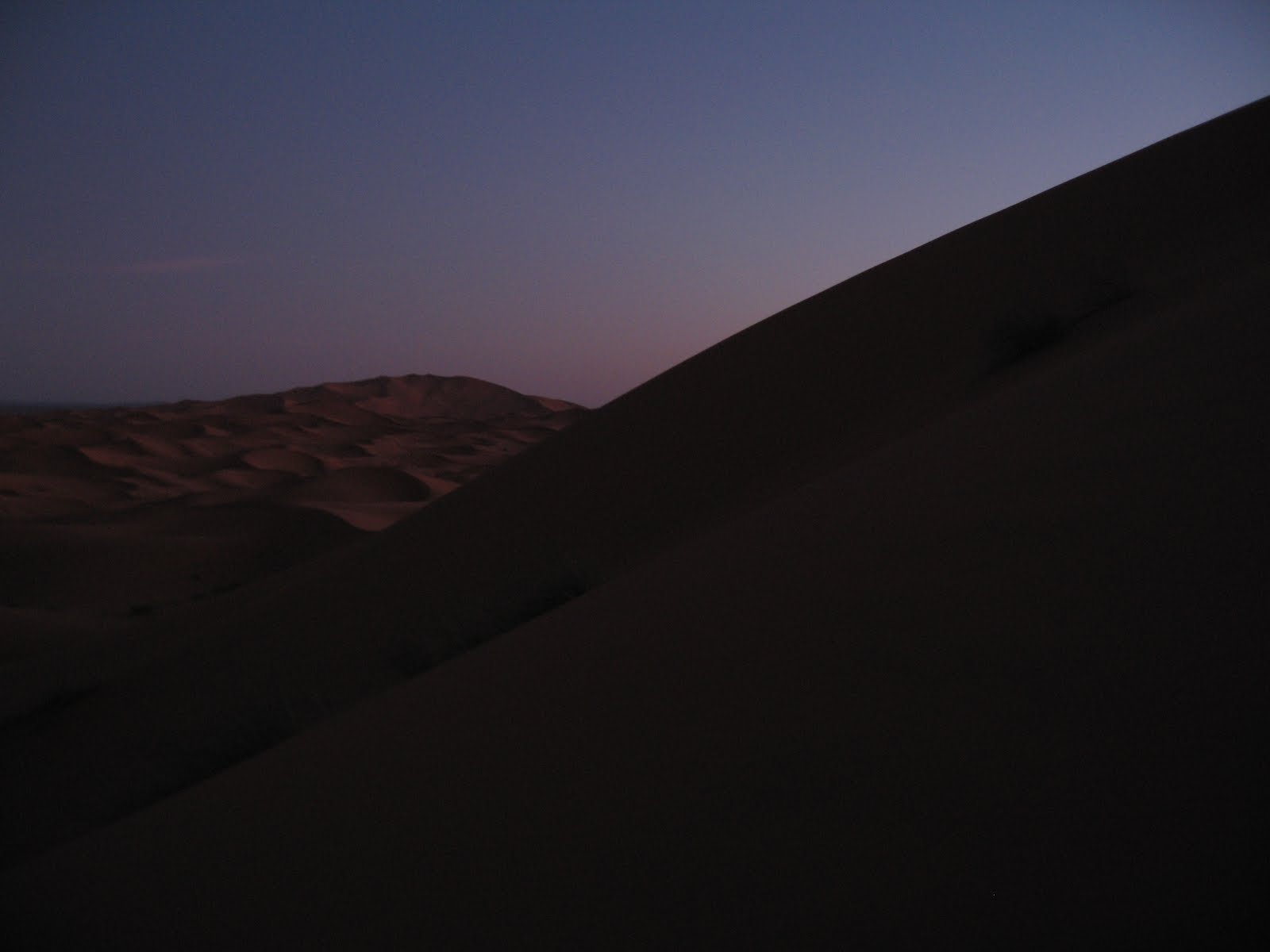 [IMG_0704.JPG]