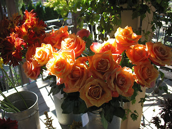 Orange Roses for Autumn
