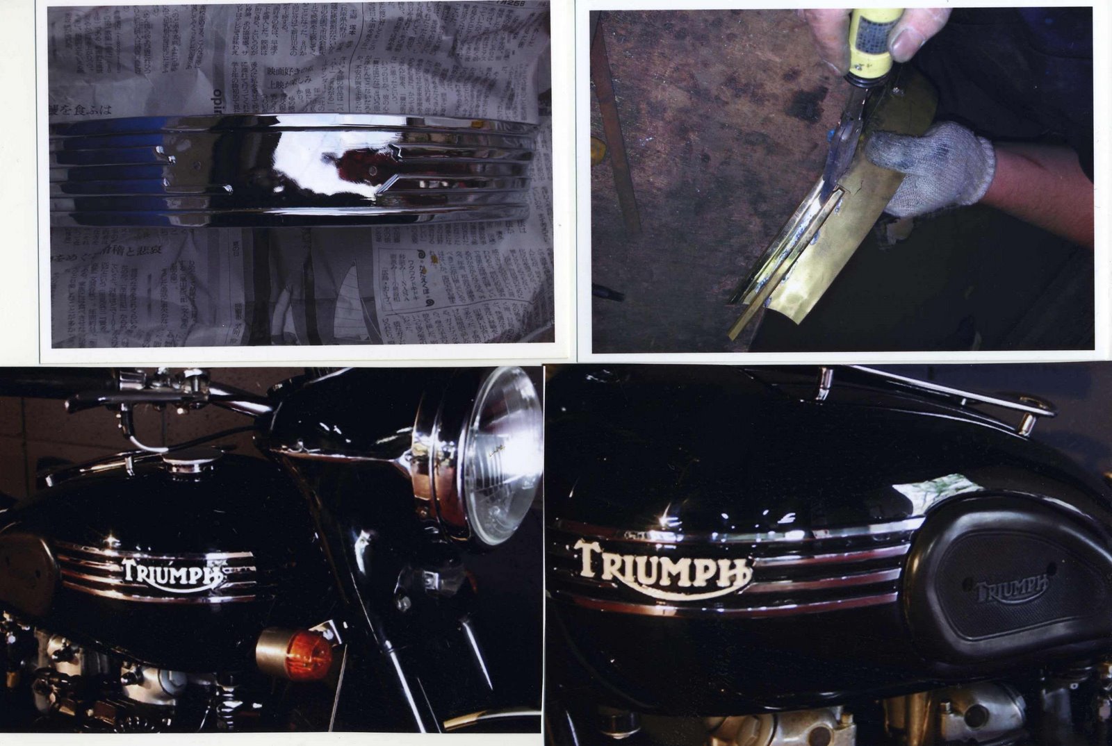 [ç”»åƒ +196.jpg]