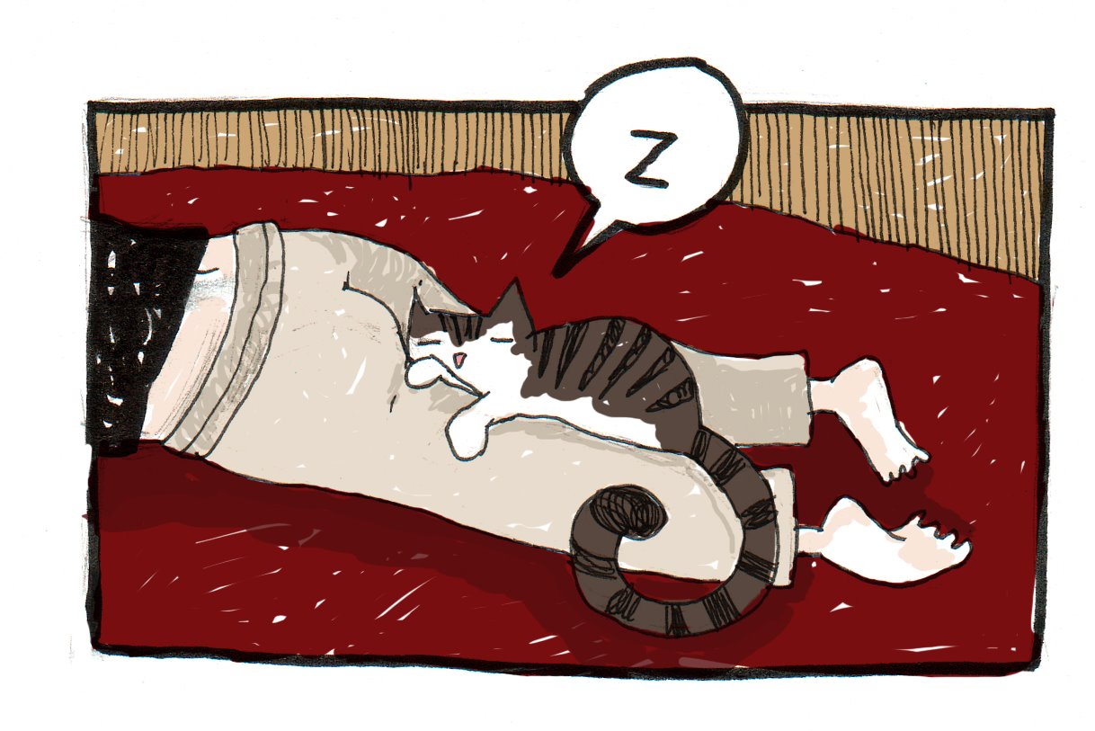 [gatodormido.jpg]