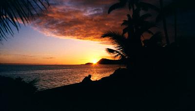 [284688382.img]