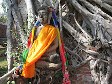 Bouddha dans un arbre