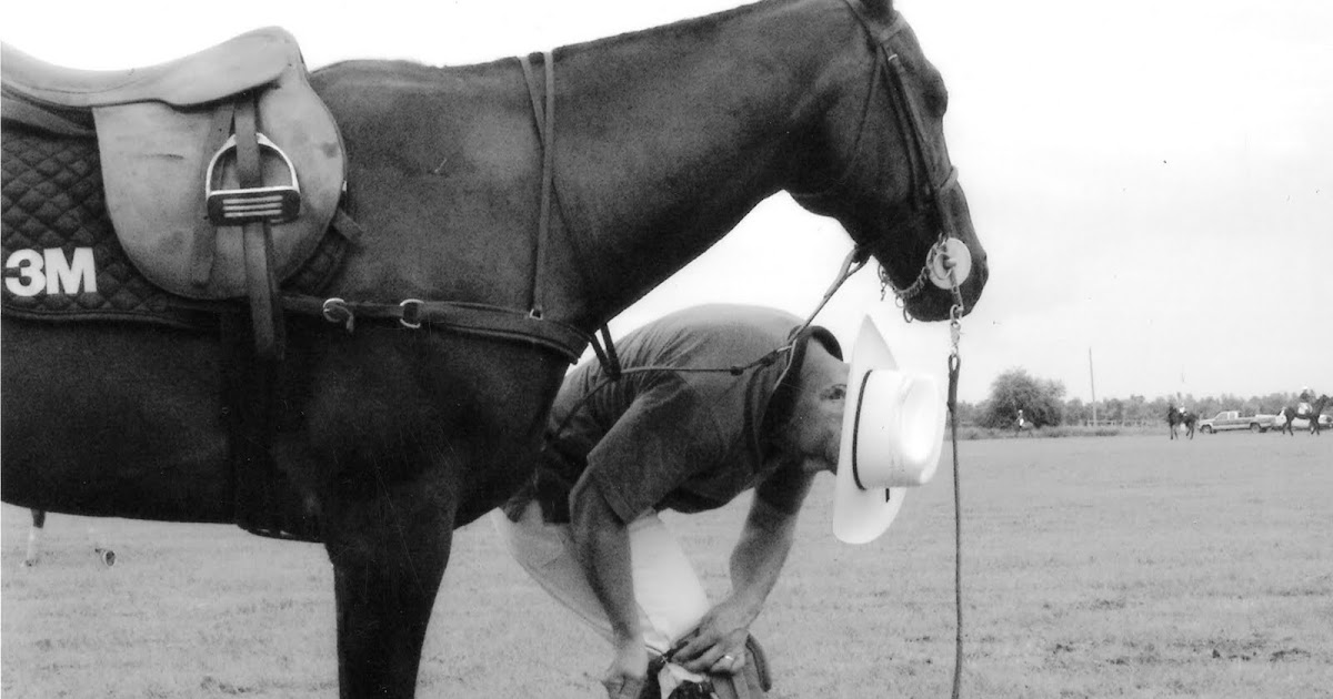 HorseLife A little trick for calming an excited horse.