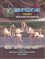 BIRDS OF PULICAT LAKE book is for sale !!