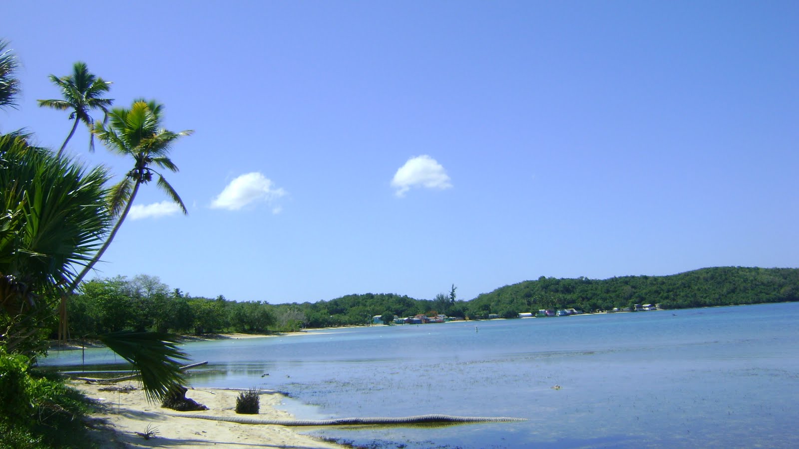 [DSC02172.JPG]
