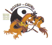ESCUELA BOXEO CHINO