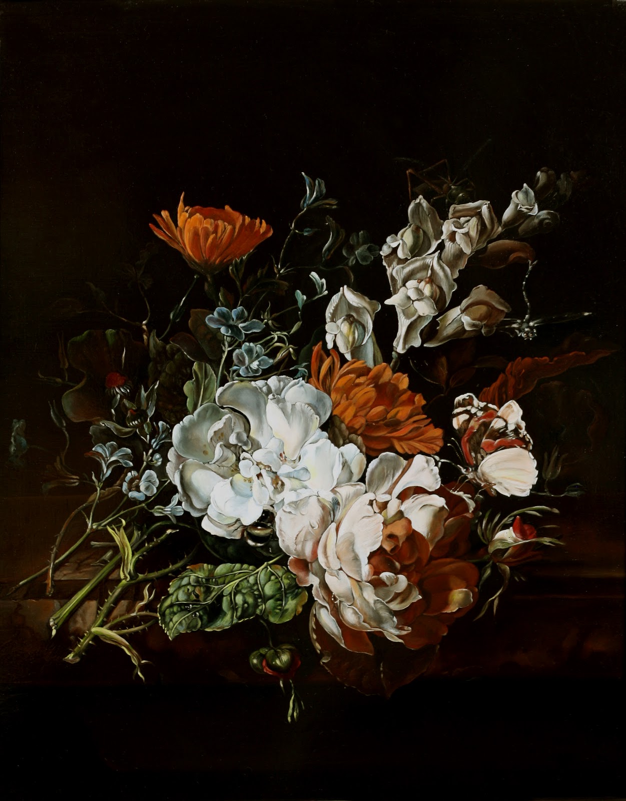 Willem B - Forte Willem B - Forte