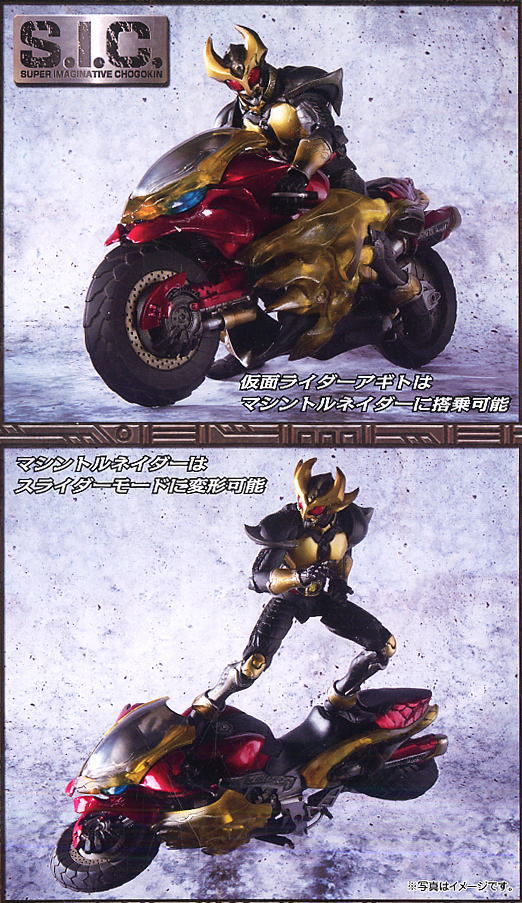 [ag6.jpg]