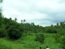 Bgy.Bisaya,Calaca visited by AICP Teachers