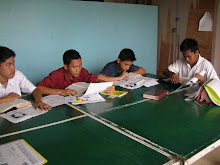 STUDENTS LEARNING TO TEACH