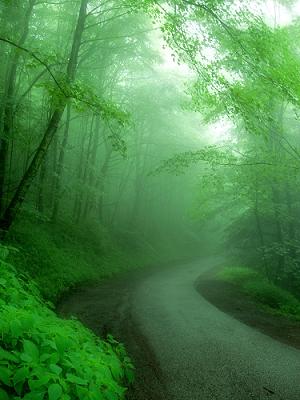 Rainy Day