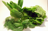 FRUTA E VEGETAIS VERDES FOLHOSOS PREVINEM DIABETES TIPO 2 Leaf_vegetables
