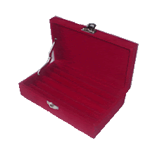 Ring Box