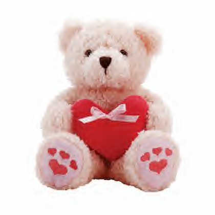 un peluche de taiwan