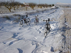 bicicletas fantasmas.... perdon bicicletas de unos fantasmas