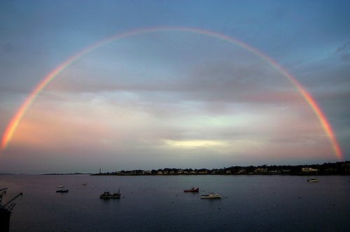 [121622495_80fc2dddf8.jpg]